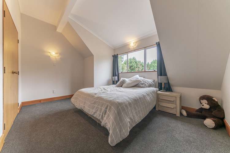 195 Hautapu Road Pukemoremore_17