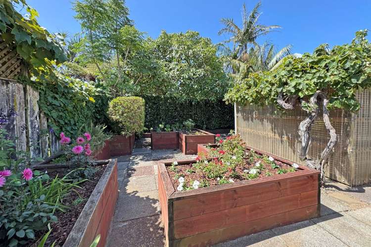 4 Tainui Road Devonport_21