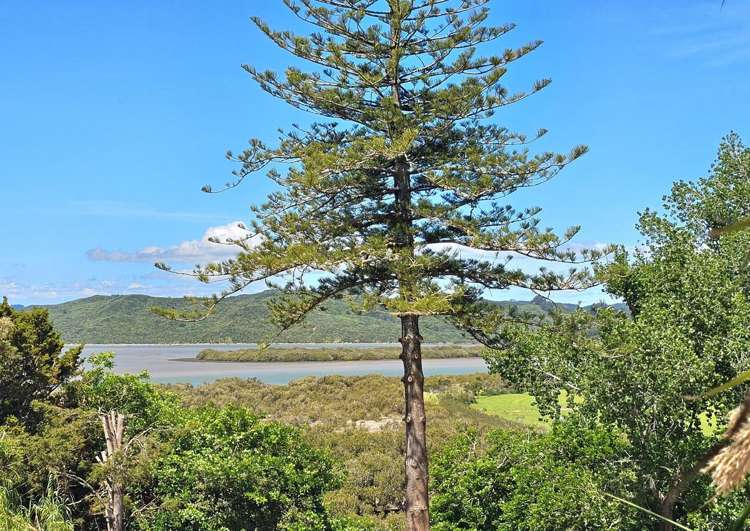 41 Clendon Esplanade Lot 2 Rawene_2