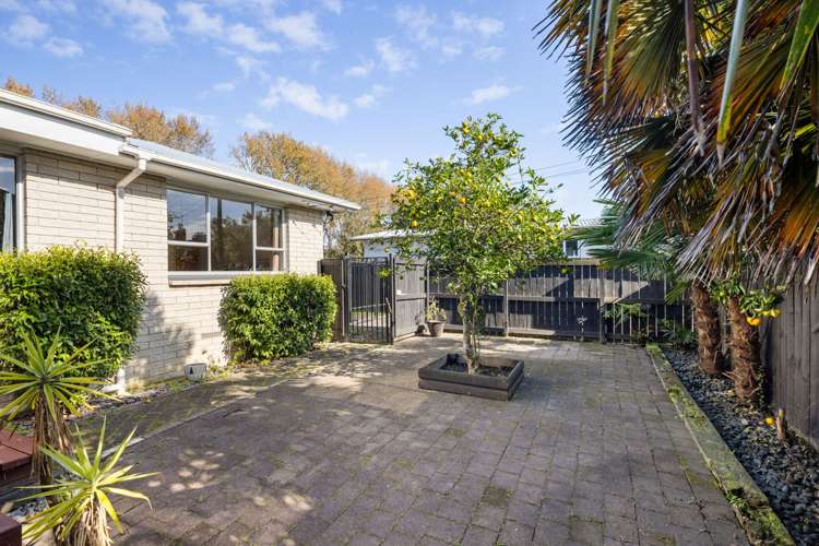 121a Rimu Street Maeroa_19