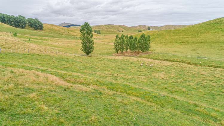 135 Longridge Road Wainuioru_4