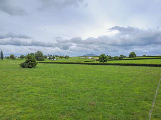 319 Pirongia Road Te Awamutu_1