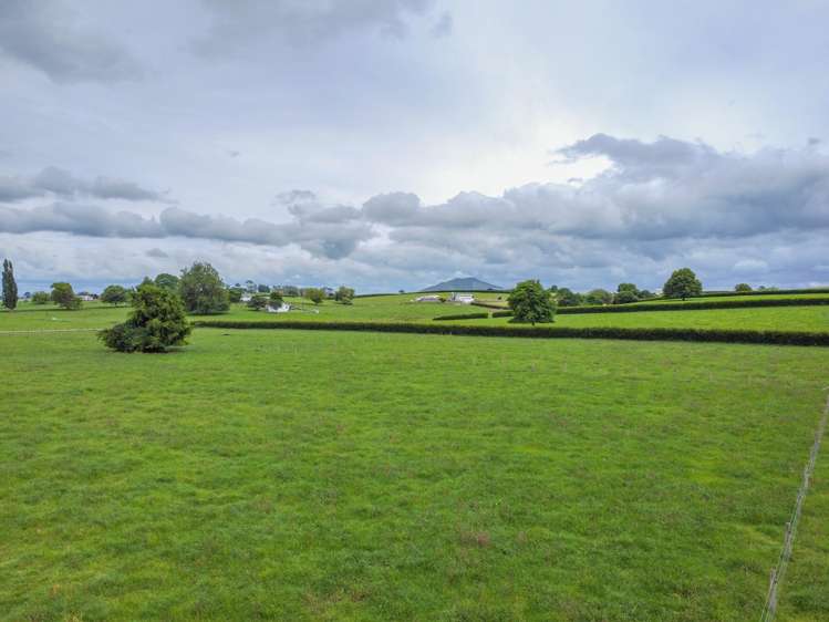 319 Pirongia Road Te Awamutu_1