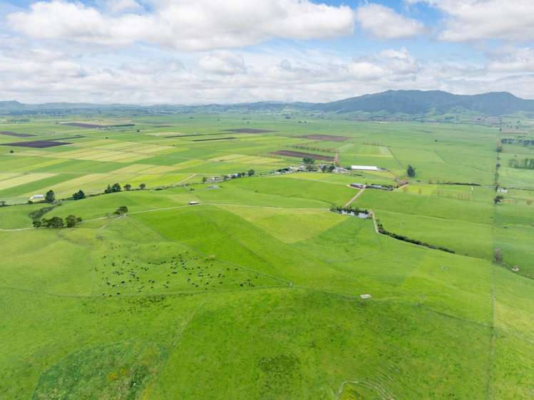 435 and 452 Tainui Road Morrinsville_31