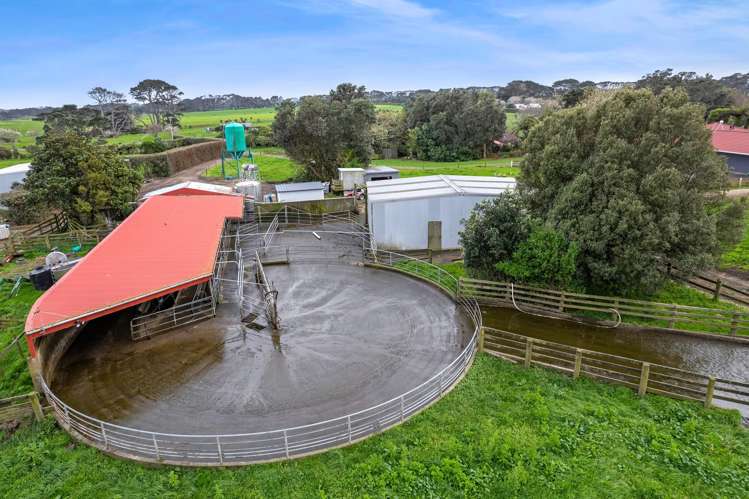 192 Upper Kina Road Oaonui_9