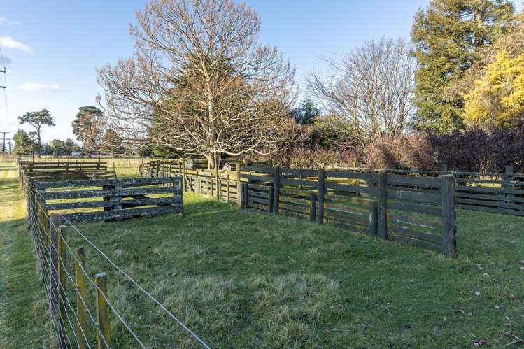 16 Nancy Street Takapau_17