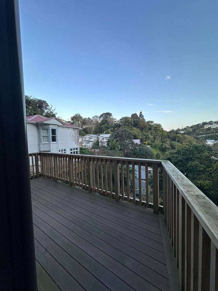 13C Adams Terrace Aro Valley_4