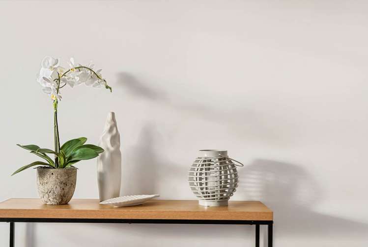 79 Buckley Avenue Hobsonville_21