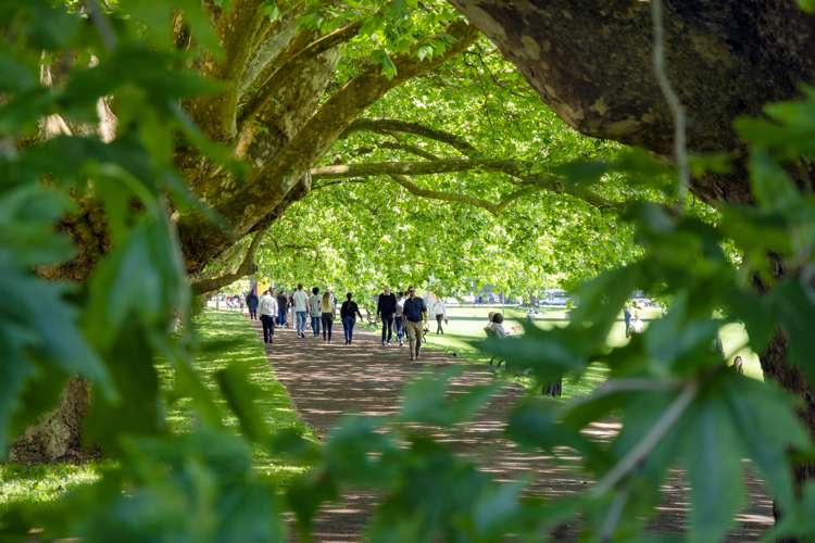 5/8 Dock Street Auckland Central_15