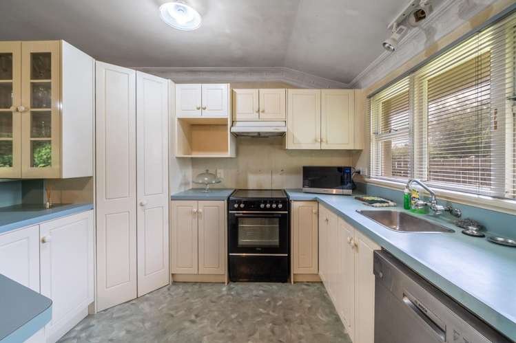 103 Ward Street Waverley_4