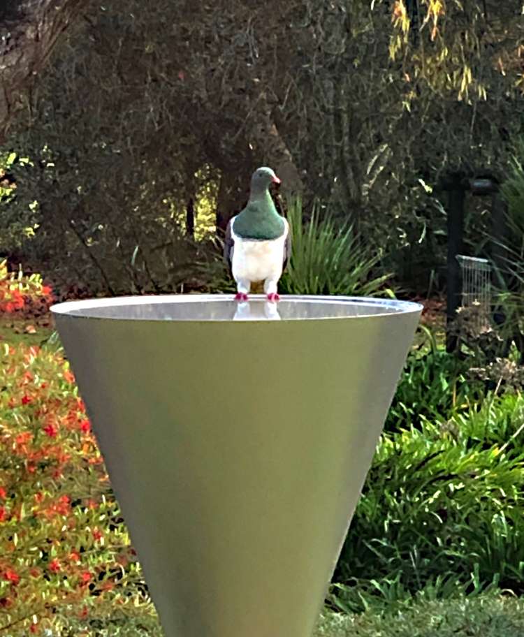 331 Point Wells Road Point Wells_16