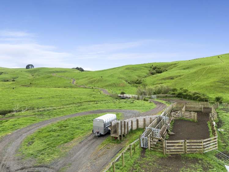 637 to 897 Tahuroa Road Morrinsville_23