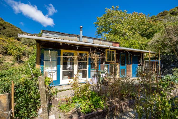 117 Little Todd Valley Road Todds Valley_16