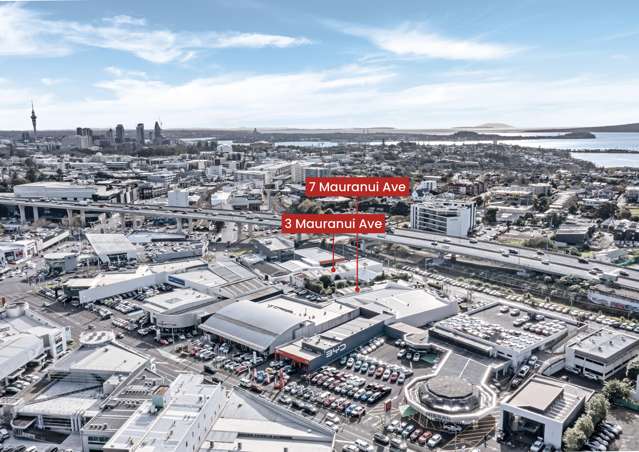 3 & 7 Mauranui Avenue Epsom_3