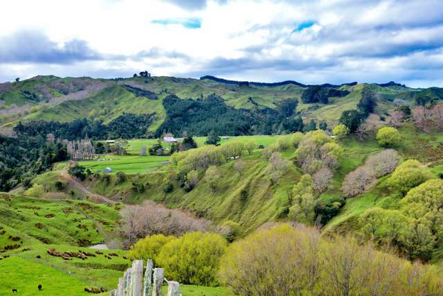 783 Glenroy Road Whangara_4