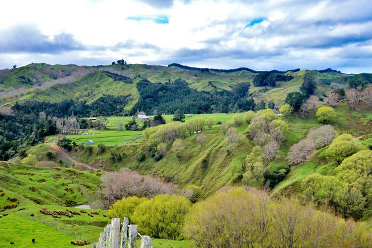 783 Glenroy Road Whangara_4