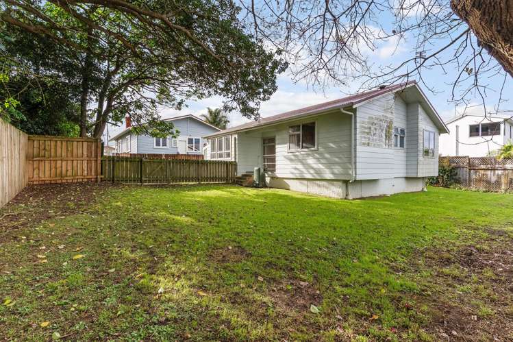 299a Mount Albert Road_1