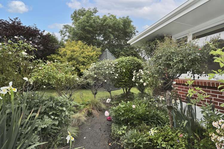 161 Wilton Street Rosedale_24