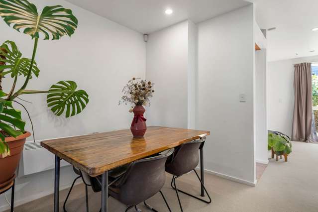 43a Old Mill Road Grey Lynn_4