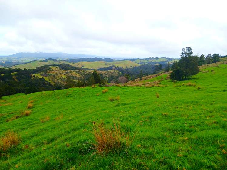 Lot 1 & 3 Fisher-Riley Road Kaitaia_11