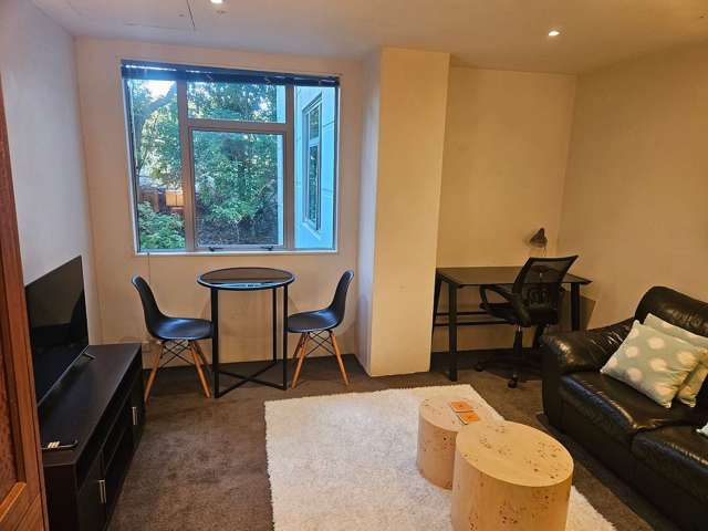207/10 Ronayne Street Auckland Central_2