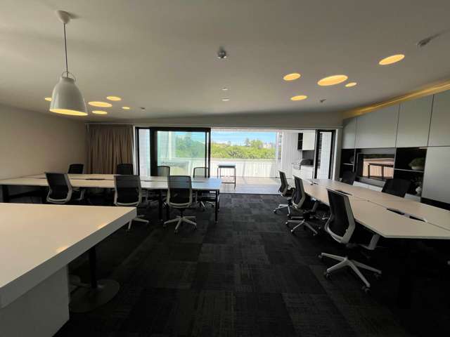 23 Falcon Street Parnell_2