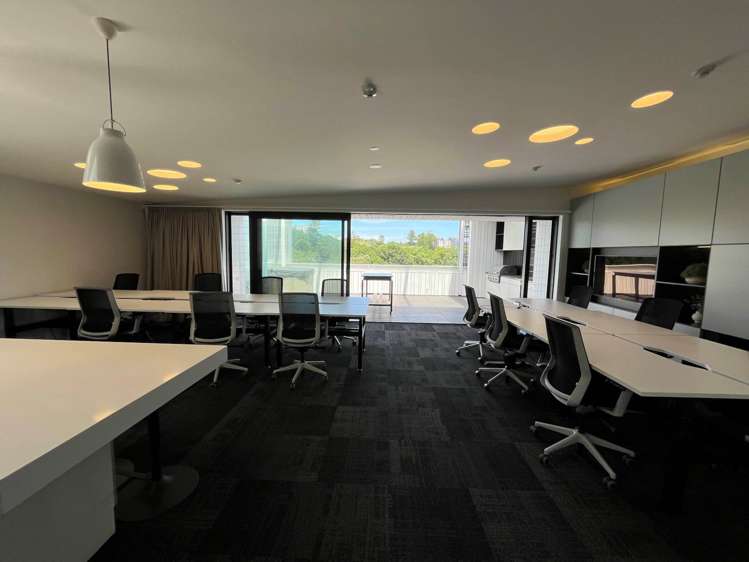 23 Falcon Street Parnell_2