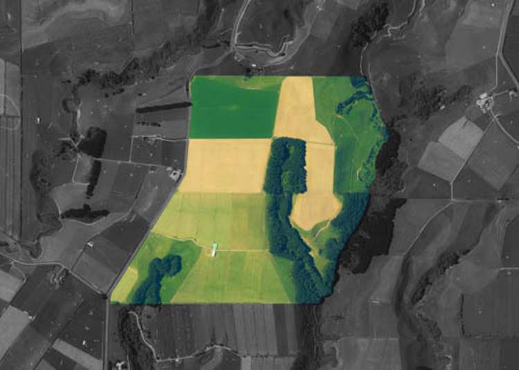 0n Mountain Road Normanby_22