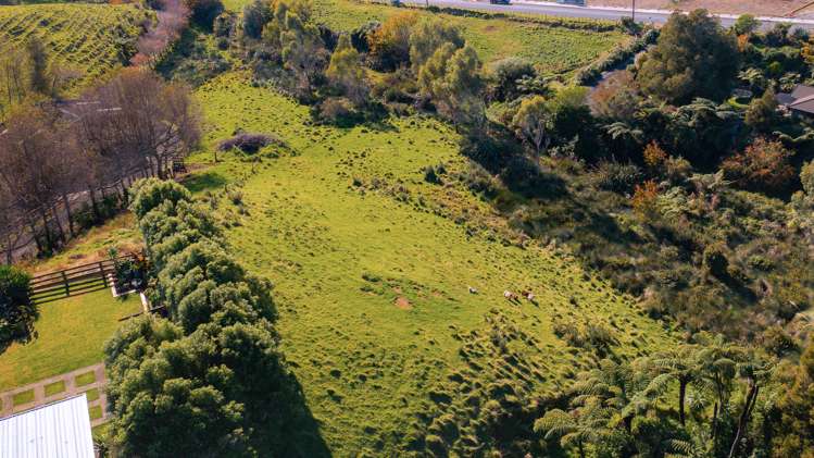 362 Tukapa Street Hurdon_46