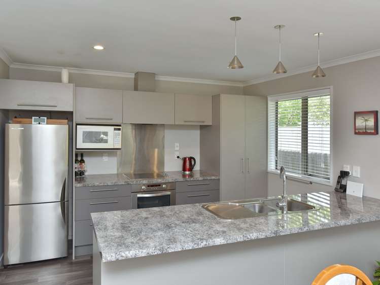 15 Millar Street Sydenham_1