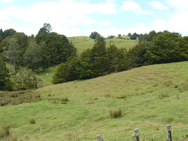 1327 Pupuke Mangapa Road Kaeo_15