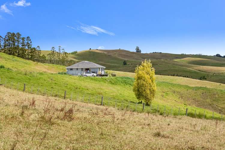 32 Toots Drive Kawakawa_17