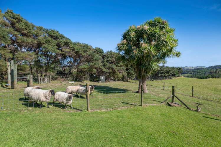 158 McLeod Road South Head_43