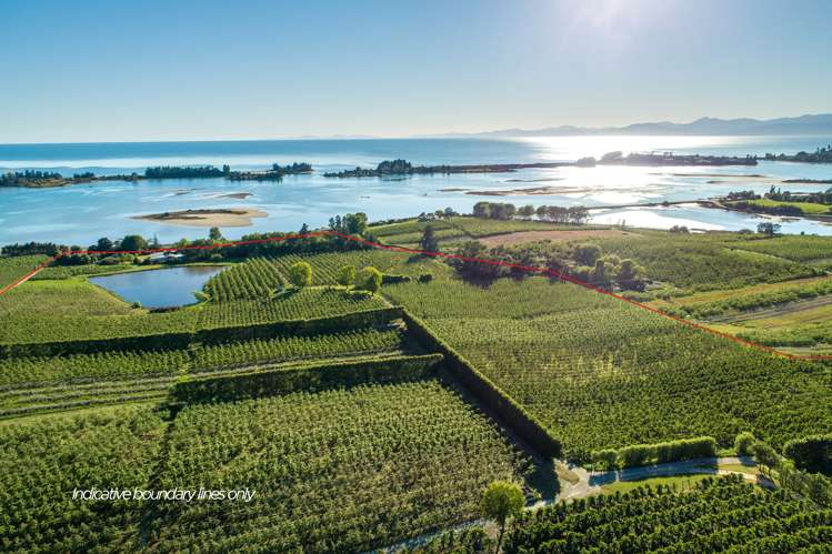 2201 The Coastal Highway Tasman_17