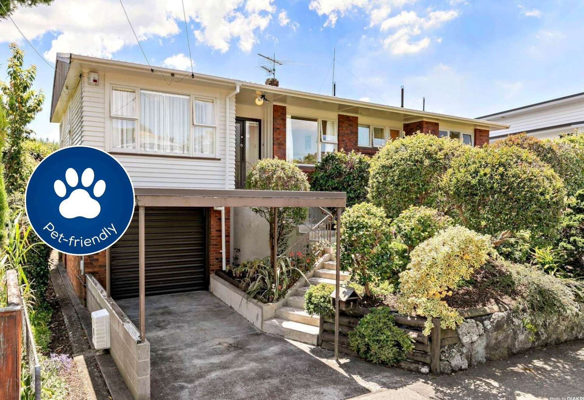 7 Aberfoyle Street Epsom_0
