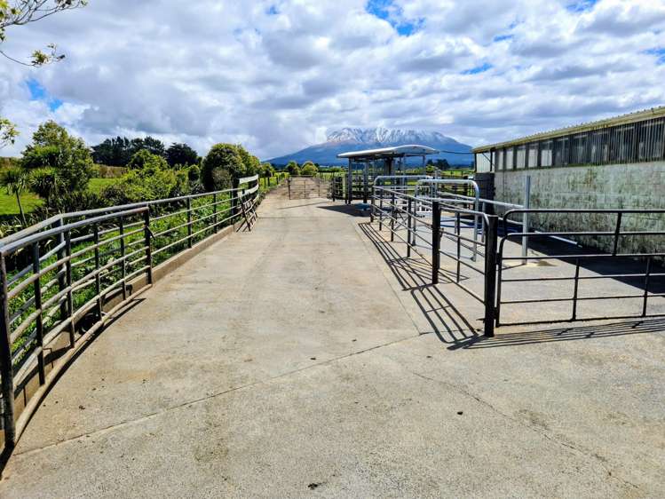 299 Cardiff Road Cardiff_13