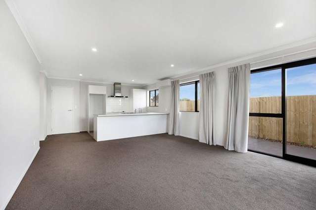 29 Ellesmere St Marshland_2
