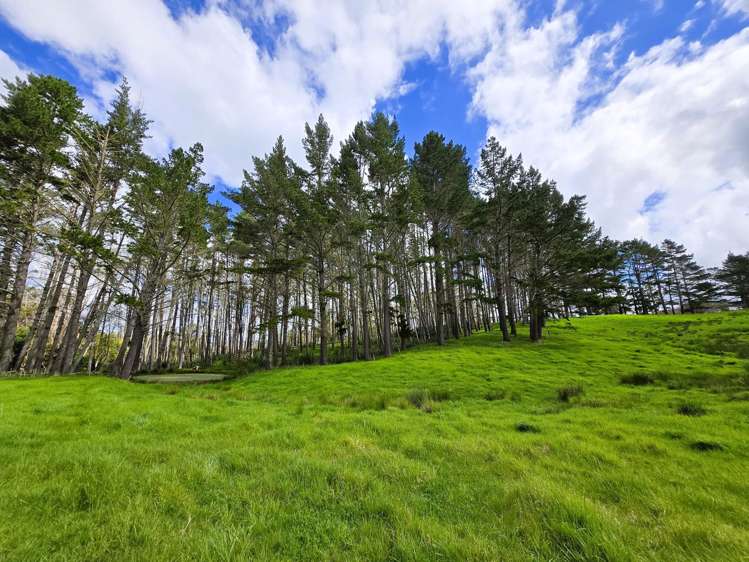 42 Ford Road Paparoa_17