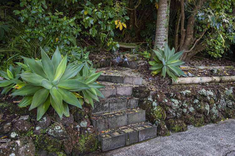 100 Beach Road Onerahi_30