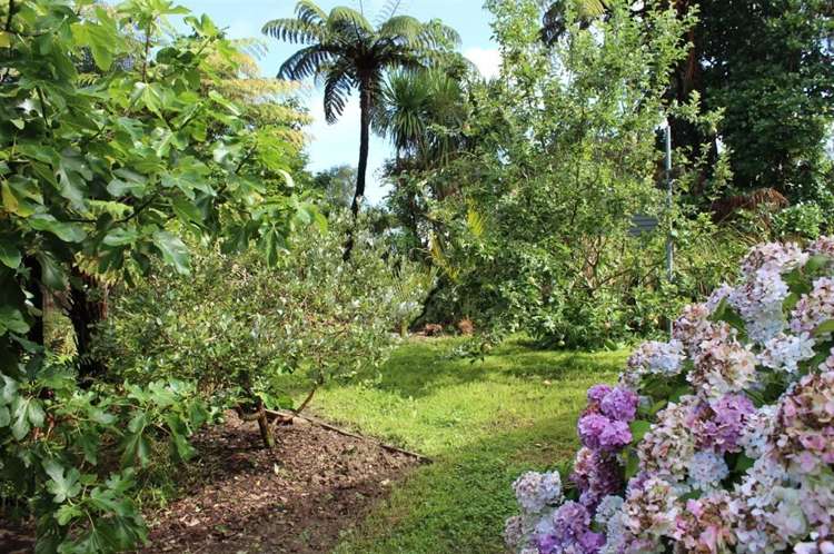 139 Weraroa Road Levin_6