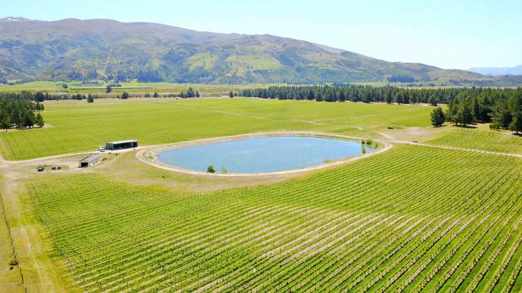 351 Maori Point Road Tarras_8