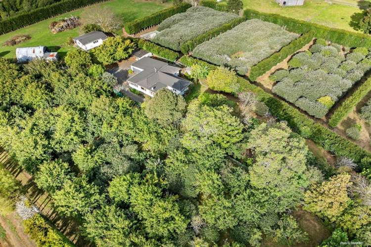 154 Schlaepfer Road Pukekohe_13