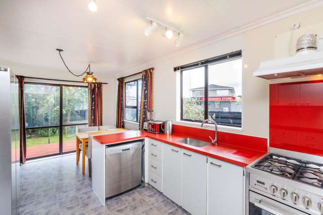 2 Kaimanawa Street Kelvin Grove_4