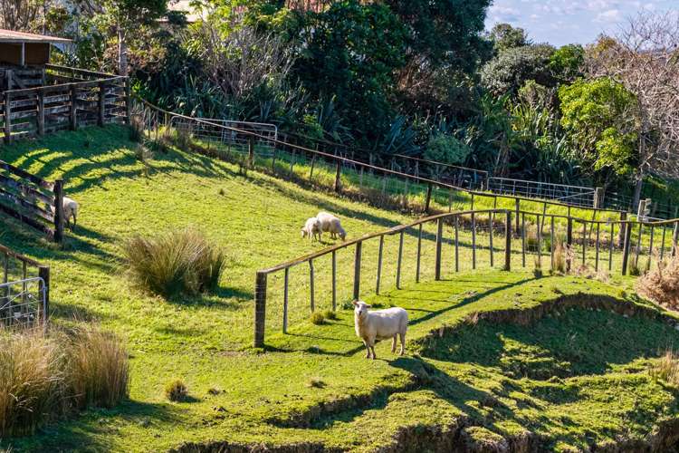 217 Lawrence Road Mangawhai_36