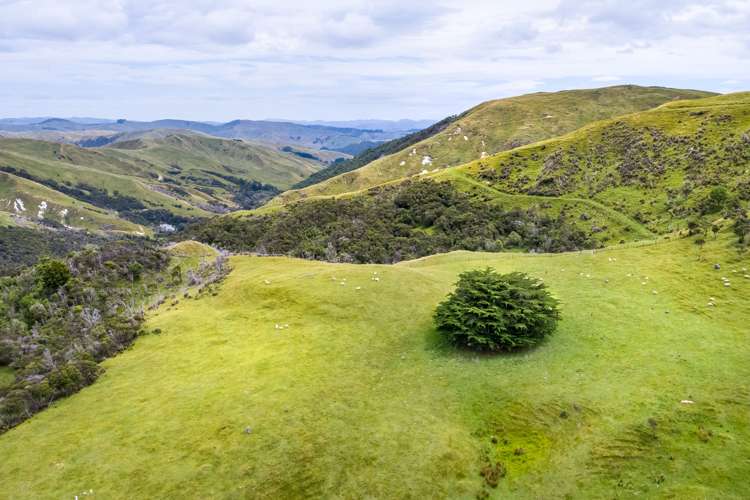 671 Saunders Road Tiraumea_12