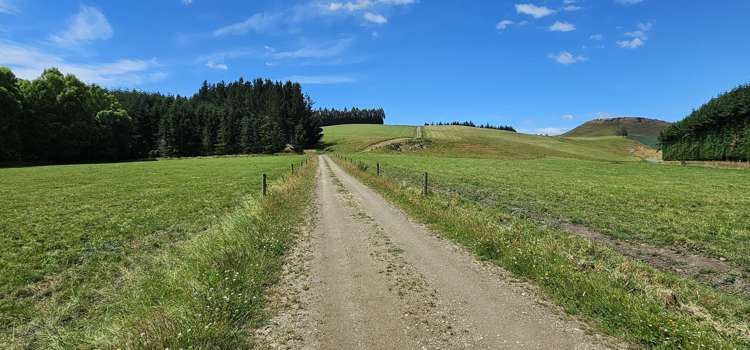 289 Otama Valley Road Otama_12