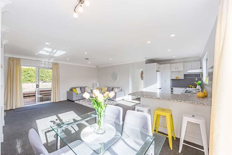 19 Castleton Street Birkdale_10