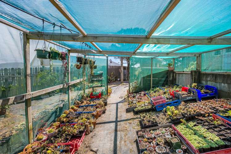 7 Syntax Place Ascot Park_13