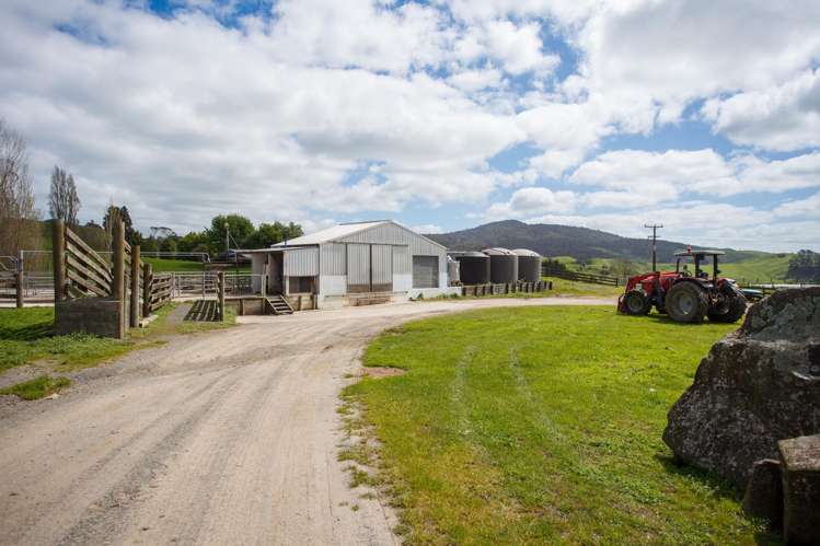 1259 Piakonui Road Matamata_5