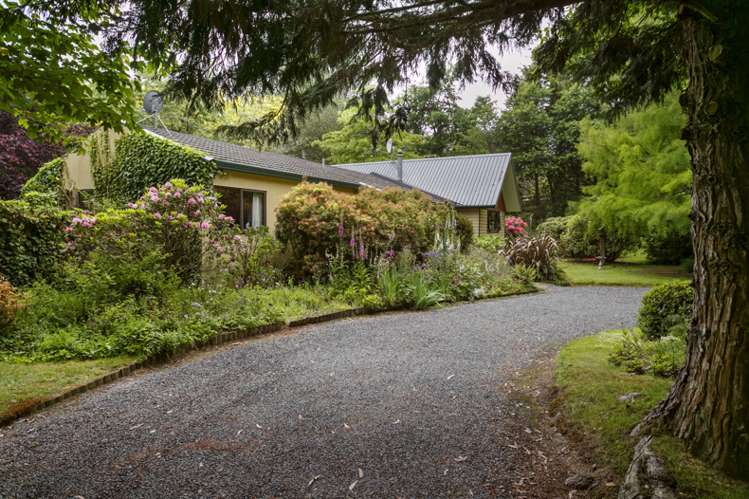 615 River Road Broadlands_5